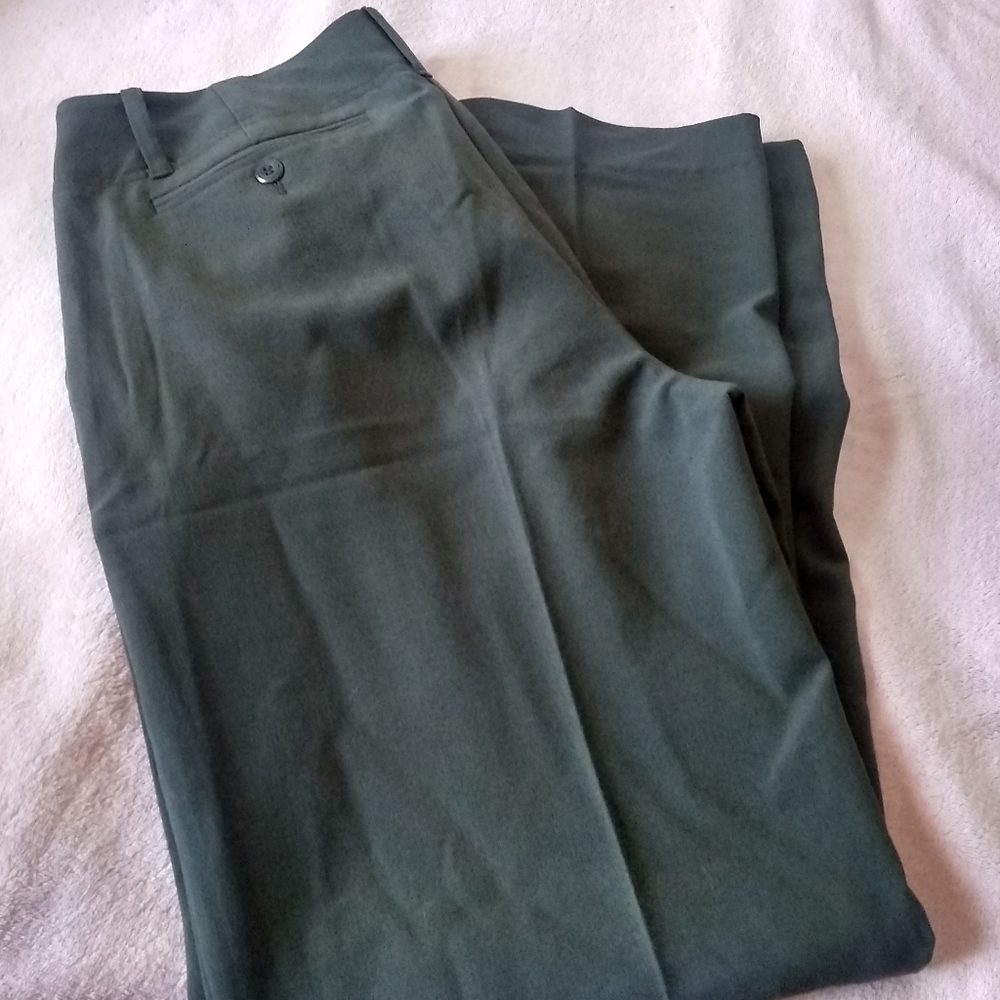 Dress pants